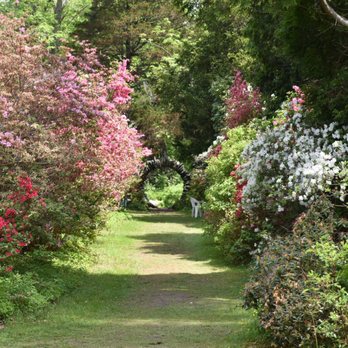 KINNEY AZALEA GARDENS - Updated February 2026 - 59 Photos & 10 Reviews