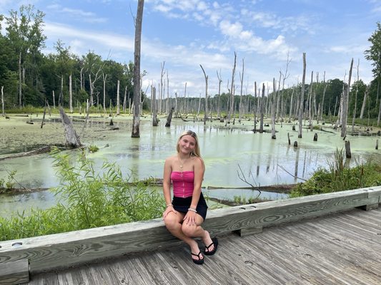 Yorktown Battlefield by null