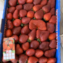 6 lbs of berries $12 6 lbs of berries $12