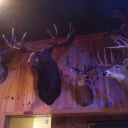 Antler's Sports Bar & Grill - Decor throughout the establishment