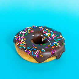Chocolate Sprinkles Donut
