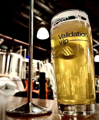 Validation Ale by null