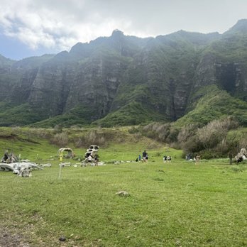 Kualoa Ranch - Bones from another movie set - Tours Near Me - Kaneohe, Hawaii Kualoa Ranch - Bones from another movie set - Tours Near Me - Kaneohe, Hawaii