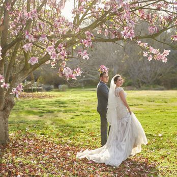 MO STUDIO - Event Photography Near Me - Pasadena, California