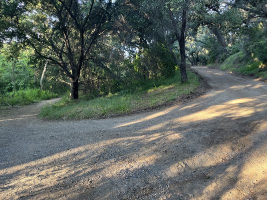 Marshall Canyon Regional Park by null