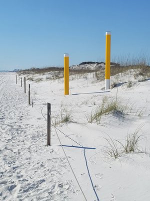 Grayton Beach State Park by null