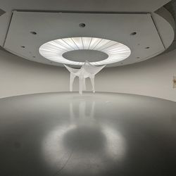 Museum van Hedendaagse Kunst Antwerpen