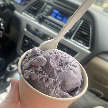 Willard Scoops - Ice Cream & Frozen Yogurt Near Me - South Portland, Maine Willard Scoops - Ice Cream & Frozen Yogurt Near Me - South Portland, Maine