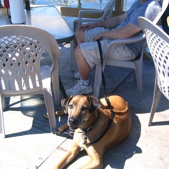 Morrison's Lobsters - Jackie sunbathing - Seafood Near Me - Kittery, Maine