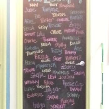 Stand For Animals Veterinary Clinic - They add your pet's name to the welcome board. Nice touch! - Veterinarians Near Me - Charlotte, North Carolina