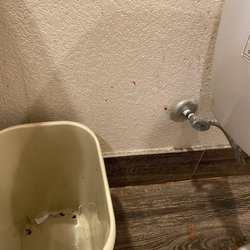 Quality Inn on Aransas Bay - Vomit on wall no floor and inside the trash can