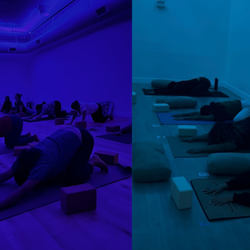 All Yoga And Avyangaa