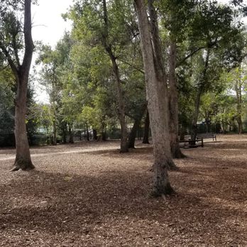 Pawmosa Dog Park - Large dog area. - Dog Parks Near Me - Casselberry, Florida
