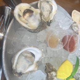 Fresh oysters. Fresh oysters.