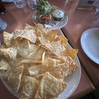 The Burrow - Mexican Near Me - Vancouver, British Columbia