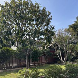 Chesbro Tree Care