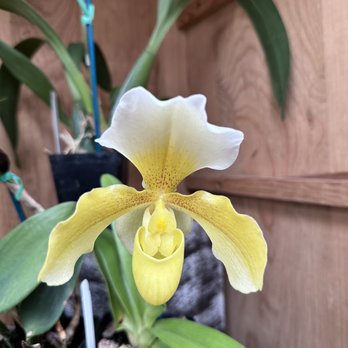 Shelldance Orchid Gardens - Nurseries & Gardening Near Me - Pacifica, California