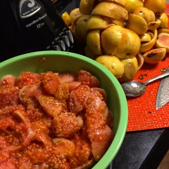 Makaua Falls Trail - I picked a $hit ton of guavas today...Aloha. - Hiking Near Me - Kaaawa, Hawaii Makaua Falls Trail - I picked a $hit ton of guavas today...Aloha. - Hiking Near Me - Kaaawa, Hawaii