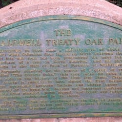 Treaty Oak - 100 years before Columbus!