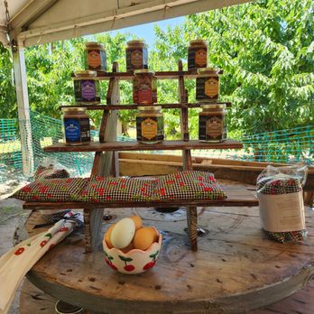 Lodi Blooms - Local honey - Attraction Farms Near Me - Lodi, California Lodi Blooms - Local honey - Attraction Farms Near Me - Lodi, California