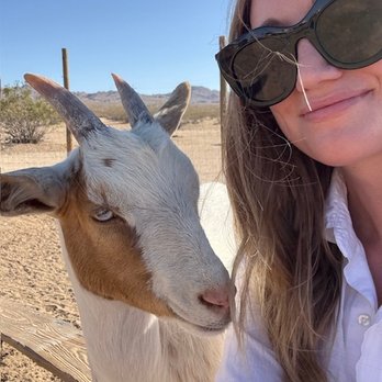 Cascade Trails Mustang Sanctuary - Goats - Horseback Riding Near Me