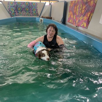 Canine Bodywork & Aquatics - Holistic Animal Care Near Me - Henderson, Nevada