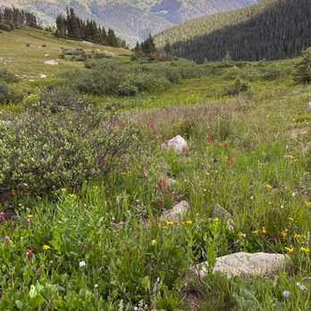 Butler Gulch - Hiking Near Me - CO, Colorado Butler Gulch - Hiking Near Me - CO, Colorado
