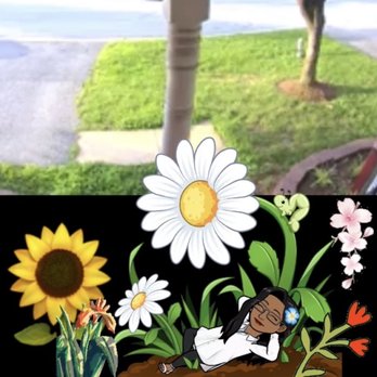 Tenango landscaping - a man laying in a flower bed - Landscaping Near Me Tenango landscaping - a man laying in a flower bed - Landscaping Near Me