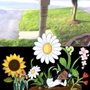 Photo of Tenango landscaping