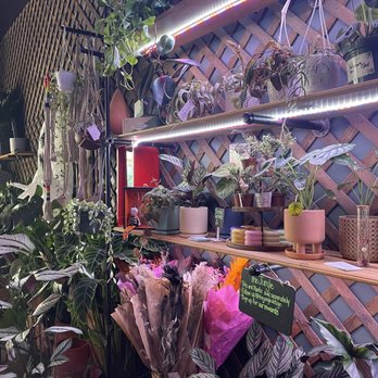 Hideout Kava Clematis - Tea Rooms Near Me - West Palm Beach, Florida