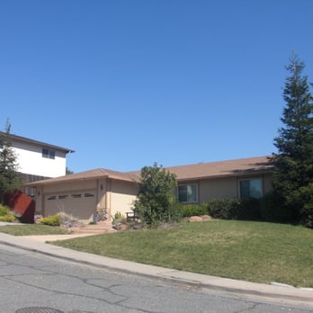 Louis Tree Service - After - Tree Services Near Me Louis Tree Service - After - Tree Services Near Me