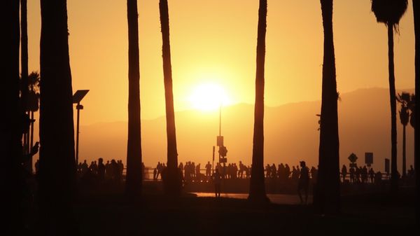 Samesun Venice Beach by null