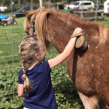 Mauiponies - Horseback Riding Near Me