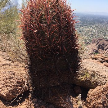 Camelback Mountain - Parks Near Me - Phoenix, Arizona