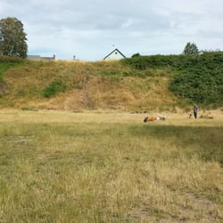 Fairhaven Dog Park - The dogs love to run, play and explore in the large, open, grassy field of this off-leash, dog park.