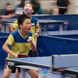 BAPPA Table Tennis