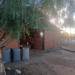 Riding The Spectrum - New location as of December 2025!