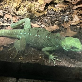 Akron Zoo - Zoos Near Me - Akron, Ohio