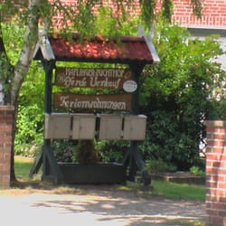 Haflinger-Ferienhof