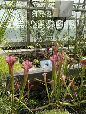 Oxford Botanic Garden by null