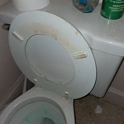 Best Cleaners - Dirty Toilet.