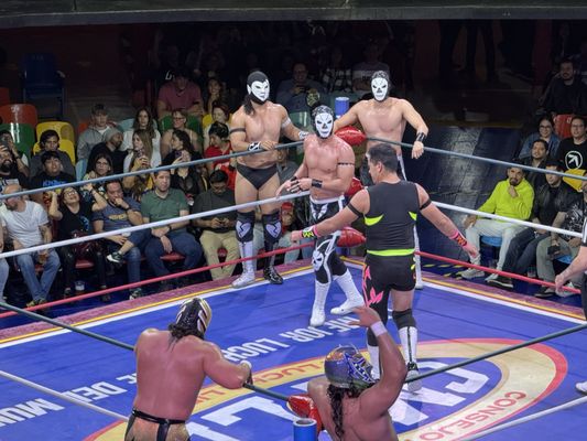 Arena Coliseo by null