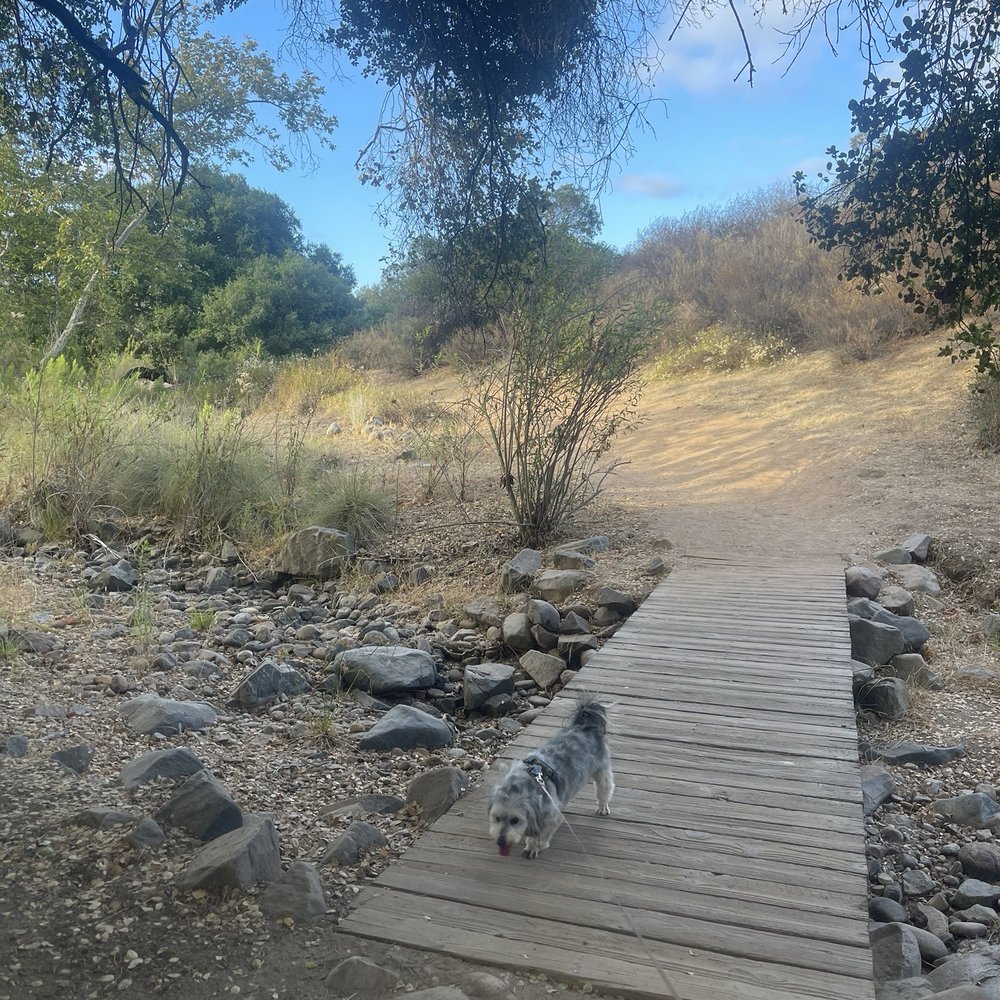 Oak Canyon Trail - Hiking Near Me