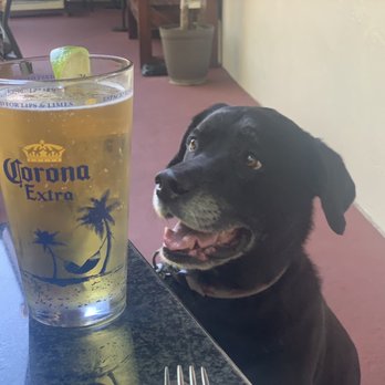 El Arroyo - Pacifico on draft and doggie approved (jk)! - Mexican Near Me - Sonora, California El Arroyo - Pacifico on draft and doggie approved (jk)! - Mexican Near Me - Sonora, California
