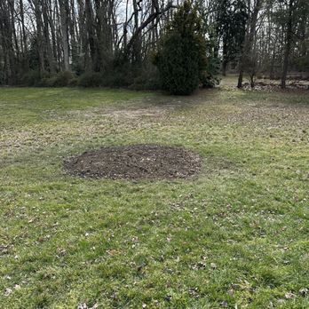 CAS Tree Service - Tree removal and stump grind. - Tree Services Near Me - Vineland, New Jersey CAS Tree Service - Tree removal and stump grind. - Tree Services Near Me - Vineland, New Jersey