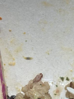 sweetgreen - Healthy Salads, Bowls and Plates by null