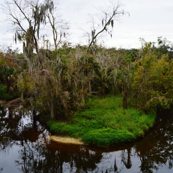 Turkey Creek Sanctuary - Such a beautiful place to relax - Parks Near Me - Palm Bay, Florida Turkey Creek Sanctuary - Such a beautiful place to relax - Parks Near Me - Palm Bay, Florida