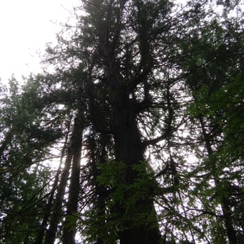 Alaska Travel Adventures - Rafting/Kayaking Near Me - Ketchikan, Alaska Alaska Travel Adventures - Rafting/Kayaking Near Me - Ketchikan, Alaska