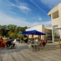 Photo of Jule Collins Smith Museum of Art