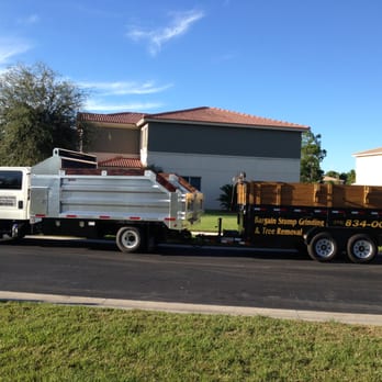 Bargain Stump and Tree Removal - Tree Services Near Me - Stuart, Florida Bargain Stump and Tree Removal - Tree Services Near Me - Stuart, Florida